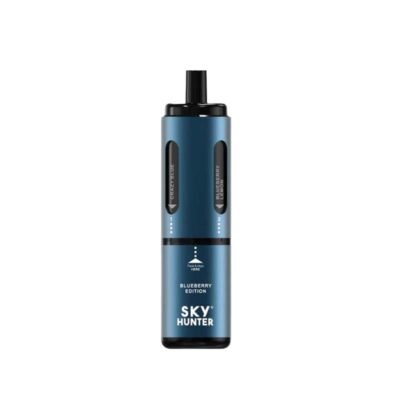 Sky Hunter Twist Slim Pod kit Blueberry Edition