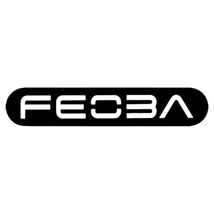 Feoba Big Bar 6000 Disposable